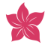 Novus Value Logo